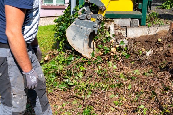 Hedge Removal Service in Odessa