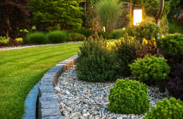 Cost of Bush Relocation in Odessa