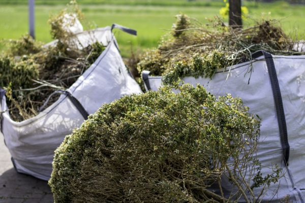 Cost of Shrubs Removal in Odessa