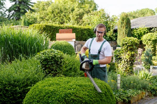 Shrubs Trimming in Odessa