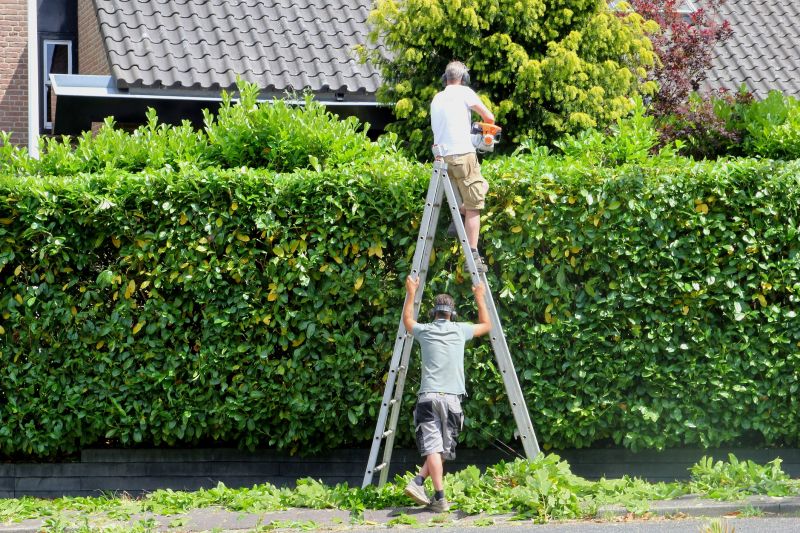 Hedge Removal Service