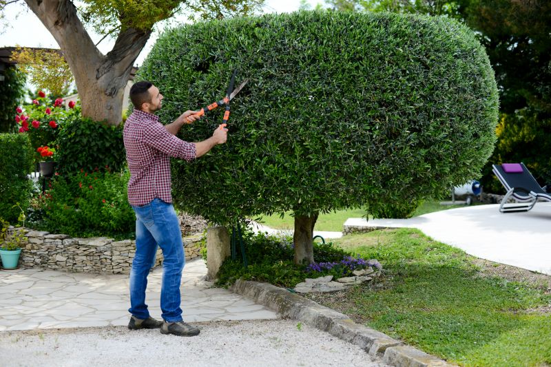 Trimming Bushes Along Pathways
