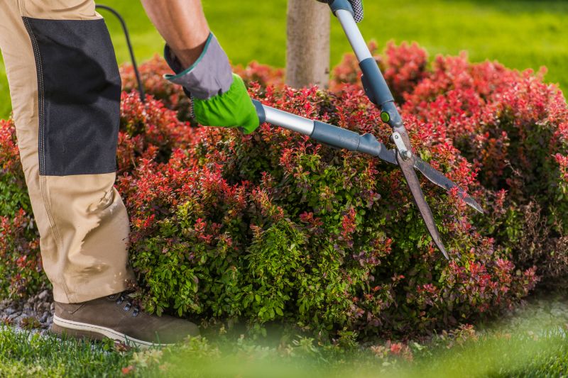 Shrub Maintenance Tools